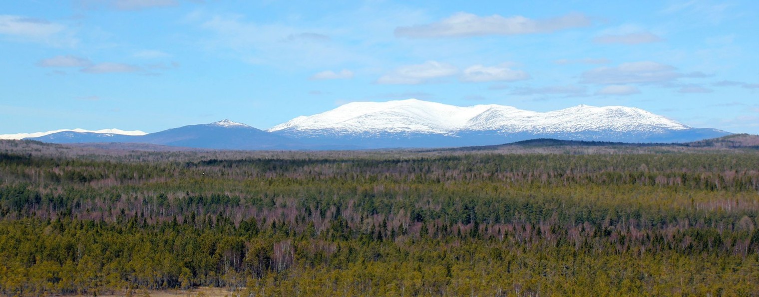 СЕВУР - ЧЕРЕМУХОВО