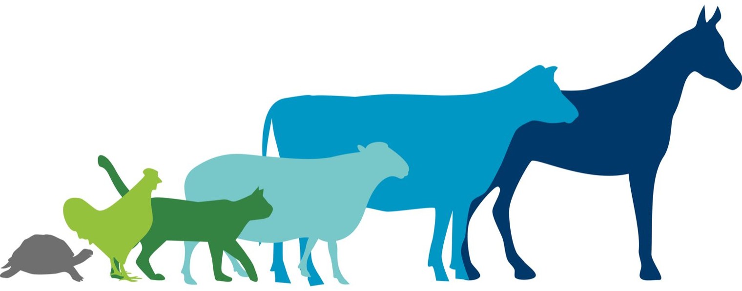 Шимская районная ветеринарная станция