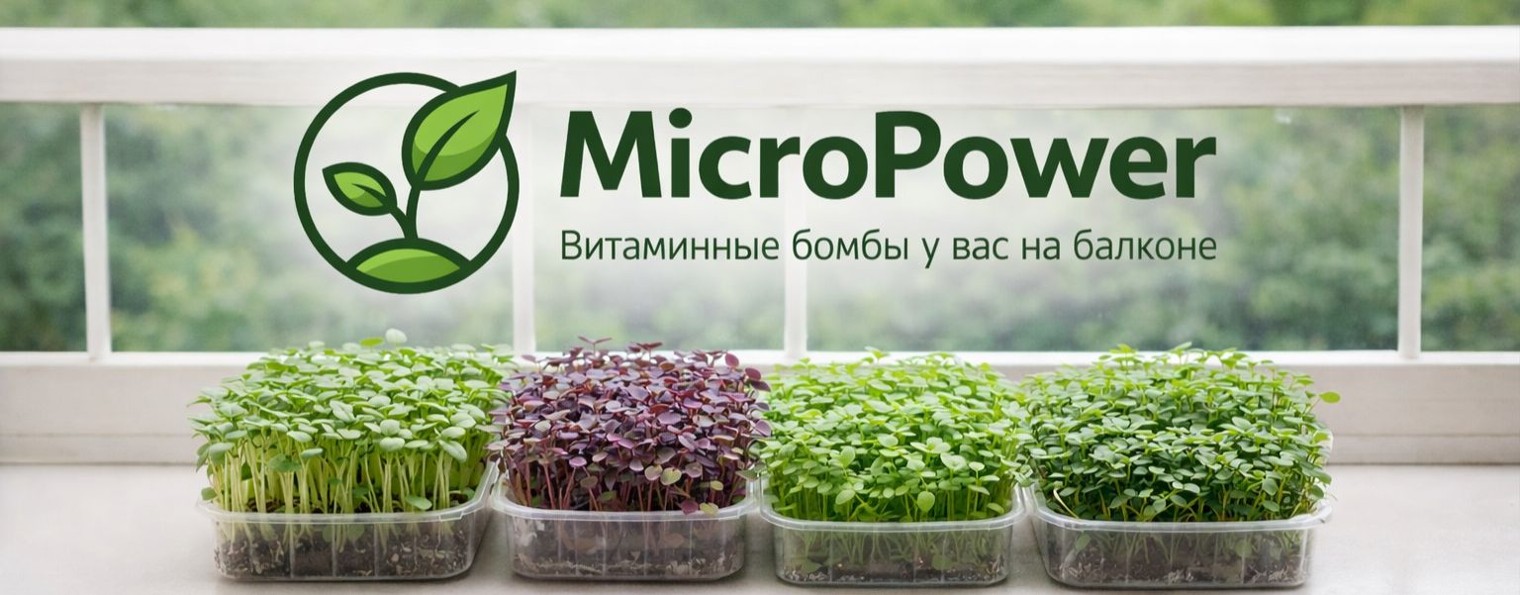 MicroPower
