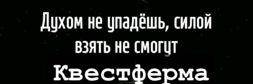 Квестферма Лео