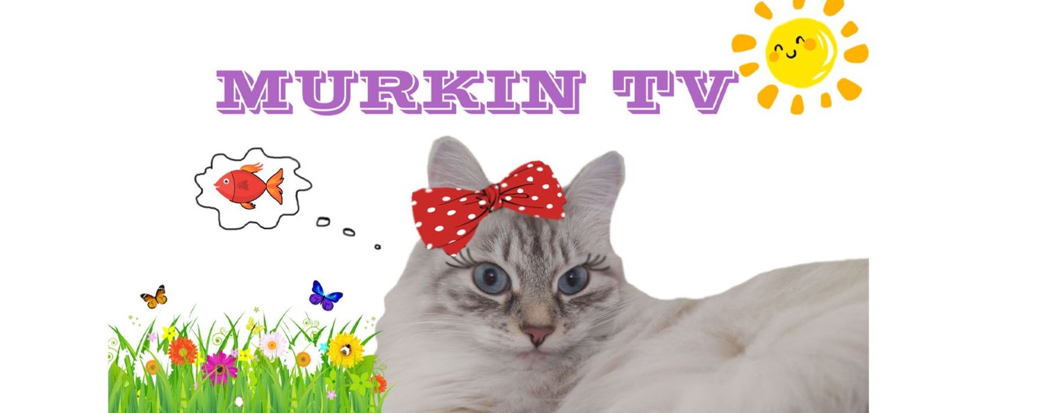 MURKIN TV