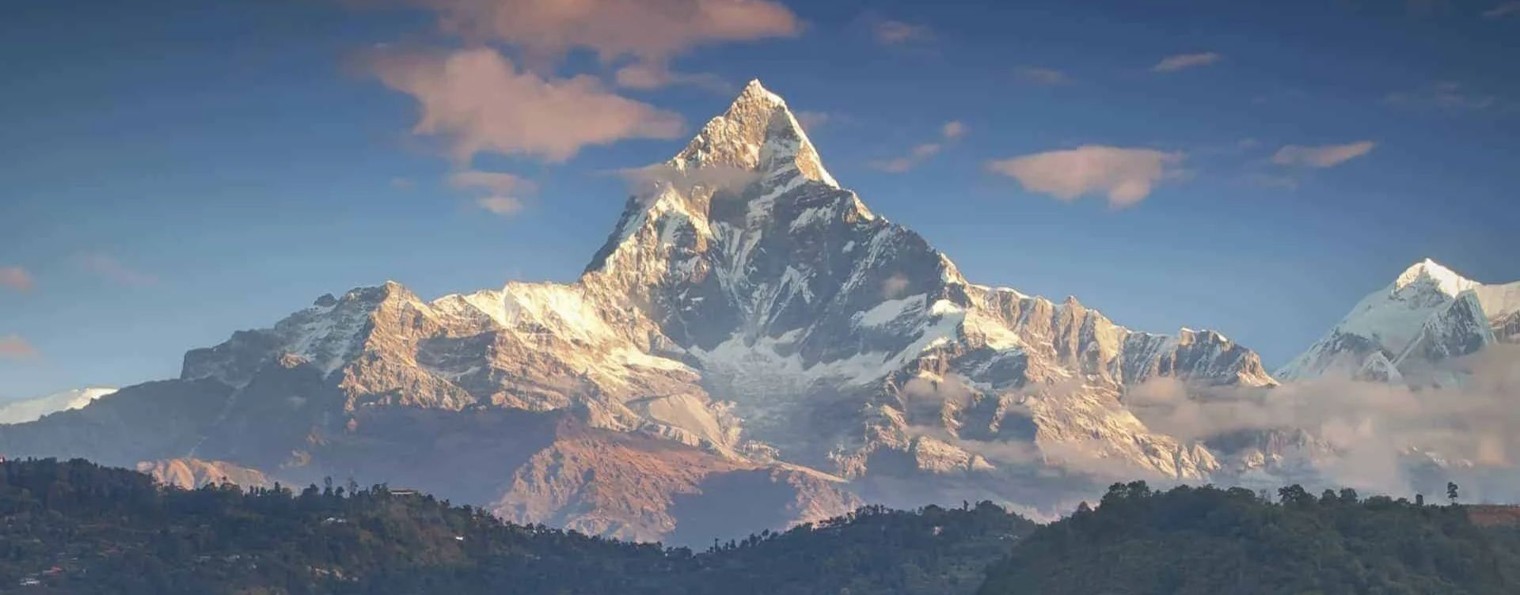 Пропащий дрочер