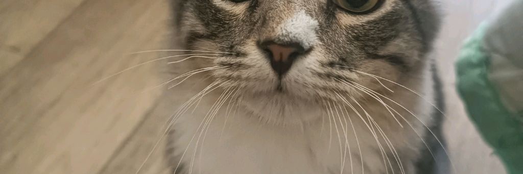 Крутой Чувак