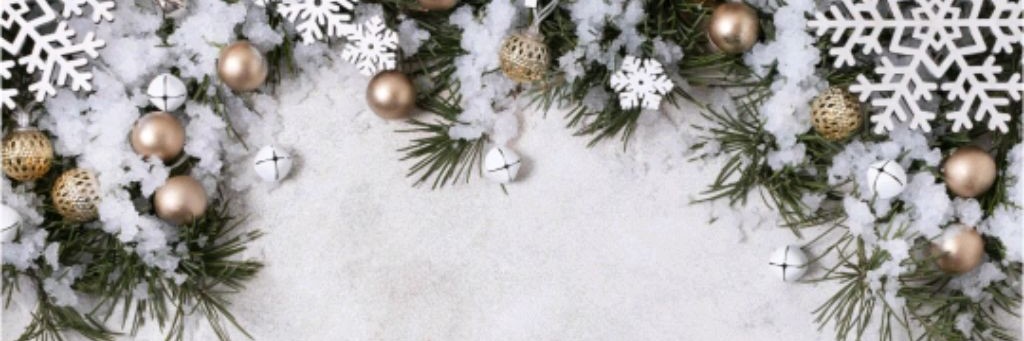 Vicky❄️/A Happy New Year🎄/