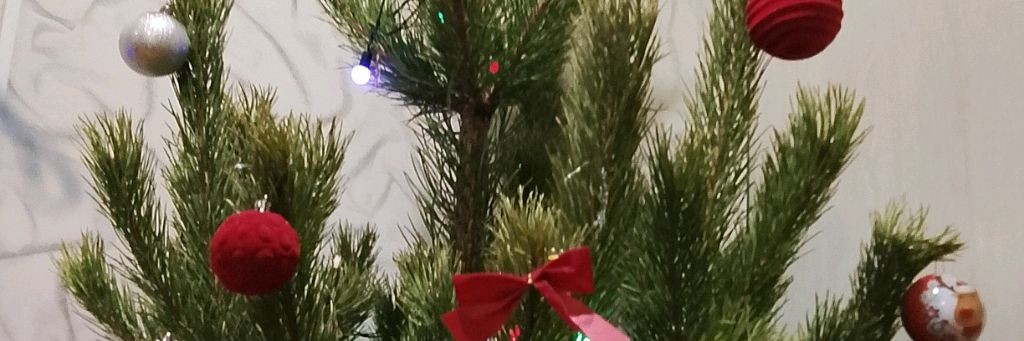 Ёлка Серёжа Мареев