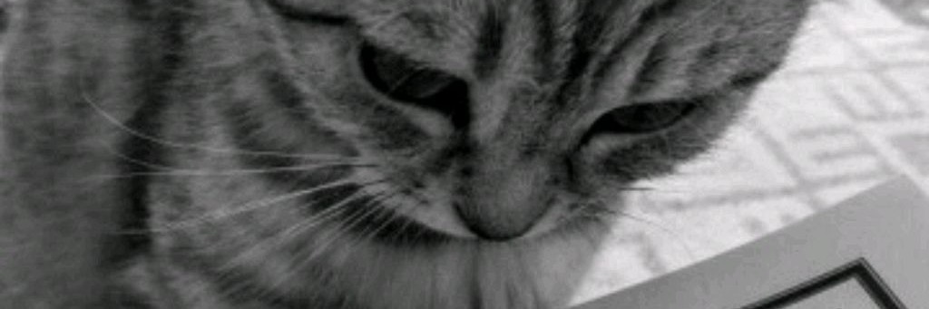 Мусульманский Канал