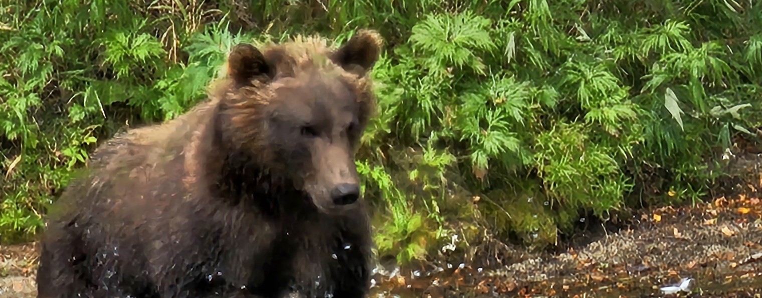 Путешествую и Просто Живу