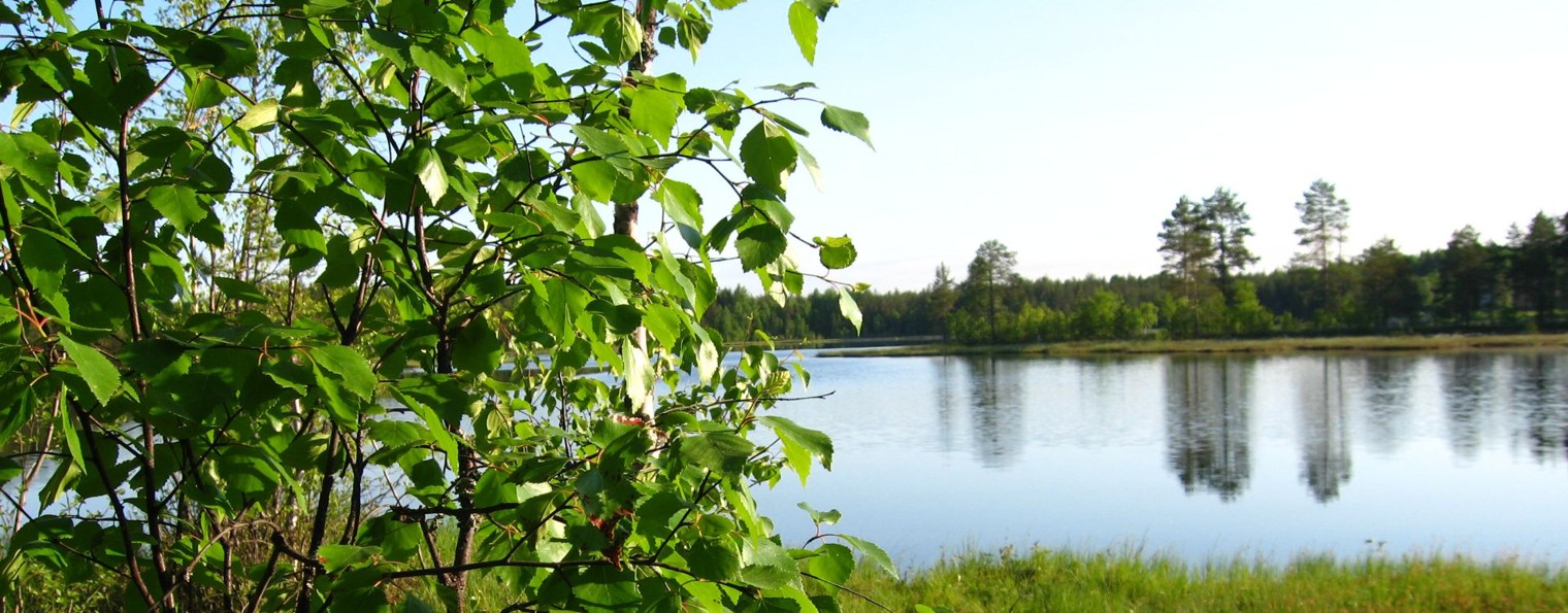 Седой турист