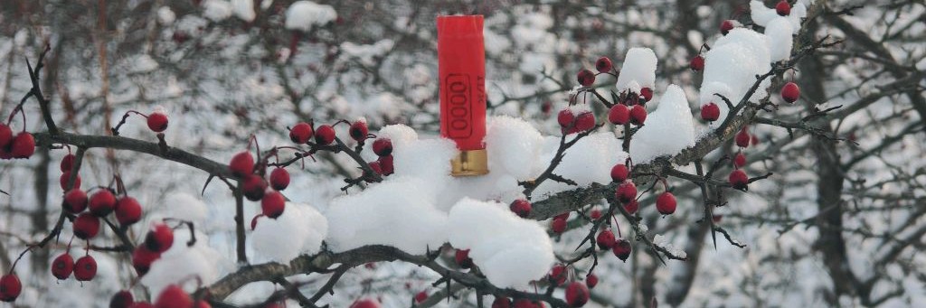 Диалоги о Мишане