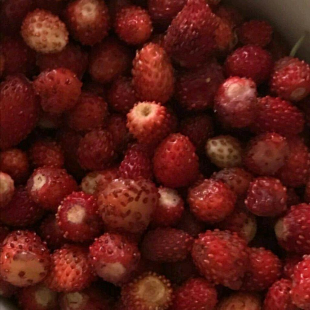 ｡･:* ❄️Varya family🙇🏼♀️🇹🇭♪♫