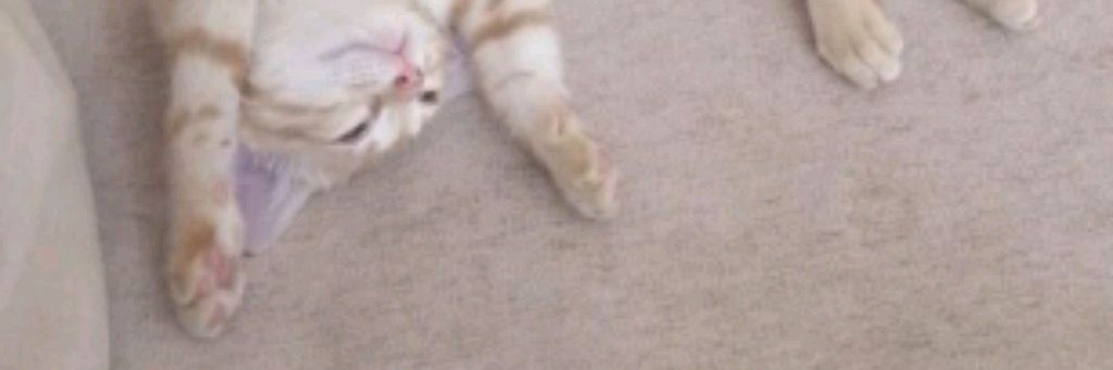 Руми HANTRIX 😍💝 saja Boys😘😘🥰