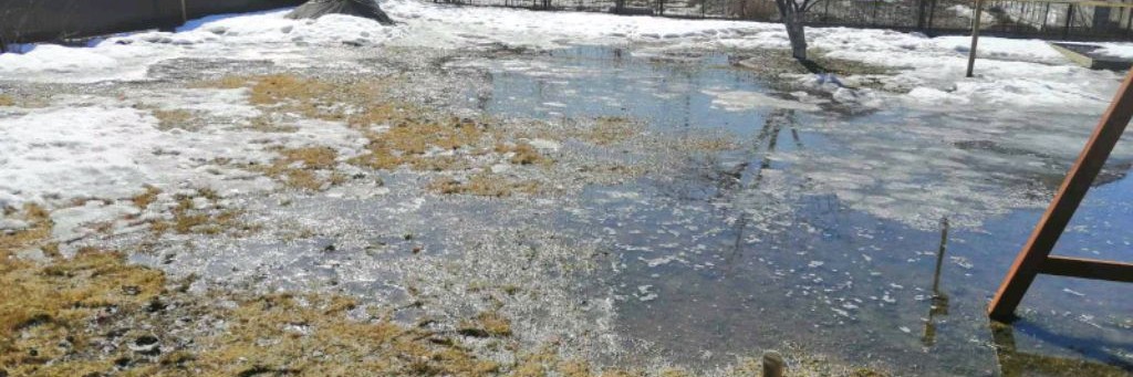 Владик и Савелей Единствиная Легенданая Легенданая