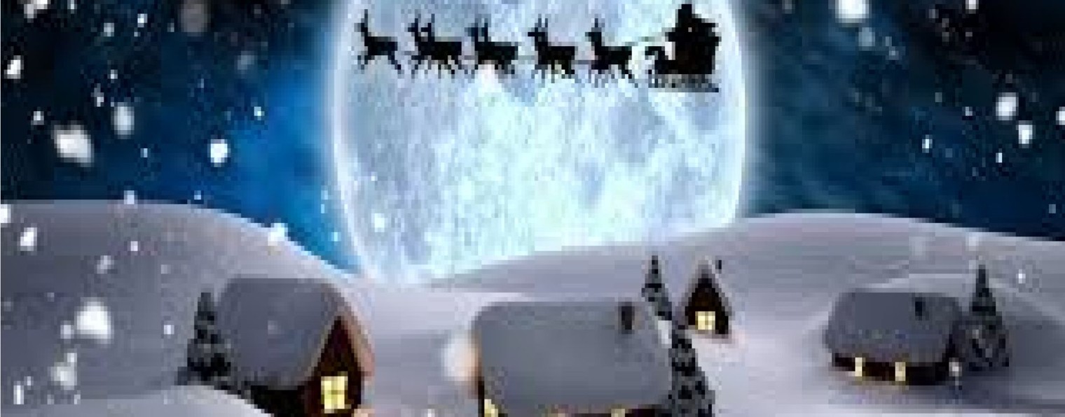 Котёнок Маркиз