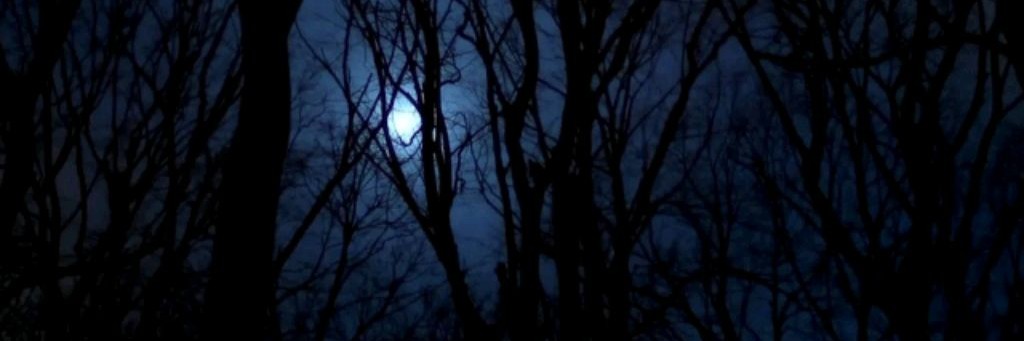 Михаил Округ