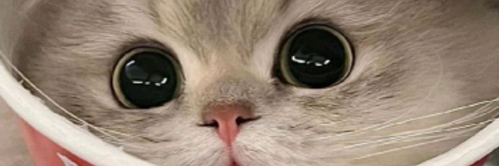 ♡Милана♡ видосики