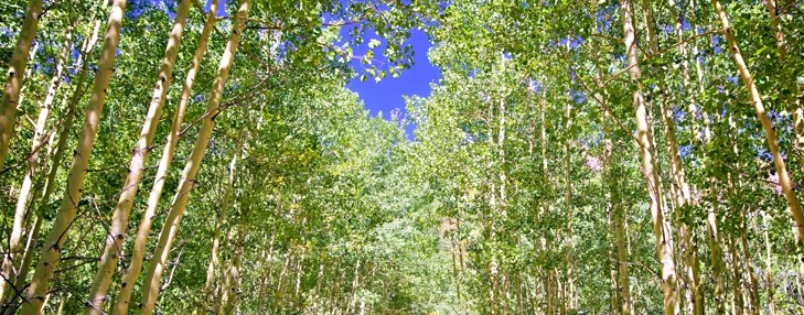 *Геннадьевна*_ Луч*