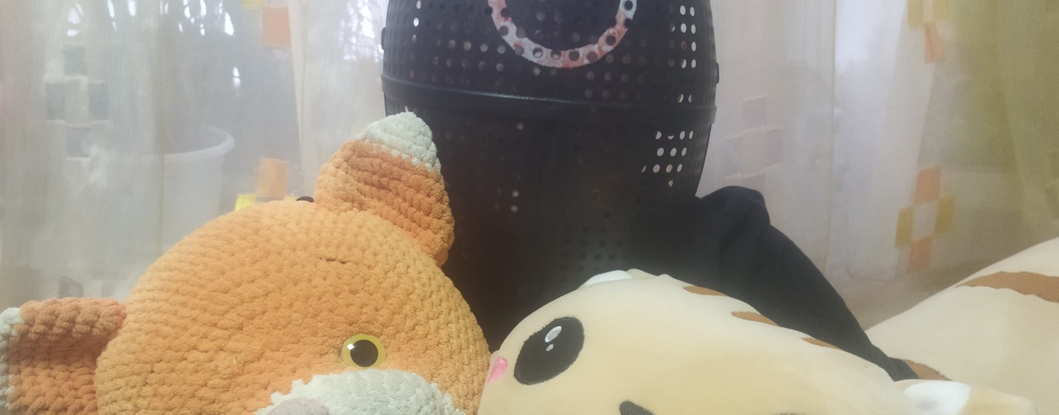 Андрей, киска улыбака и кот батон