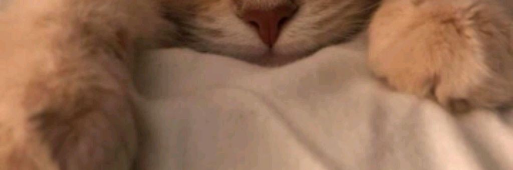 Еся С Кисточкой