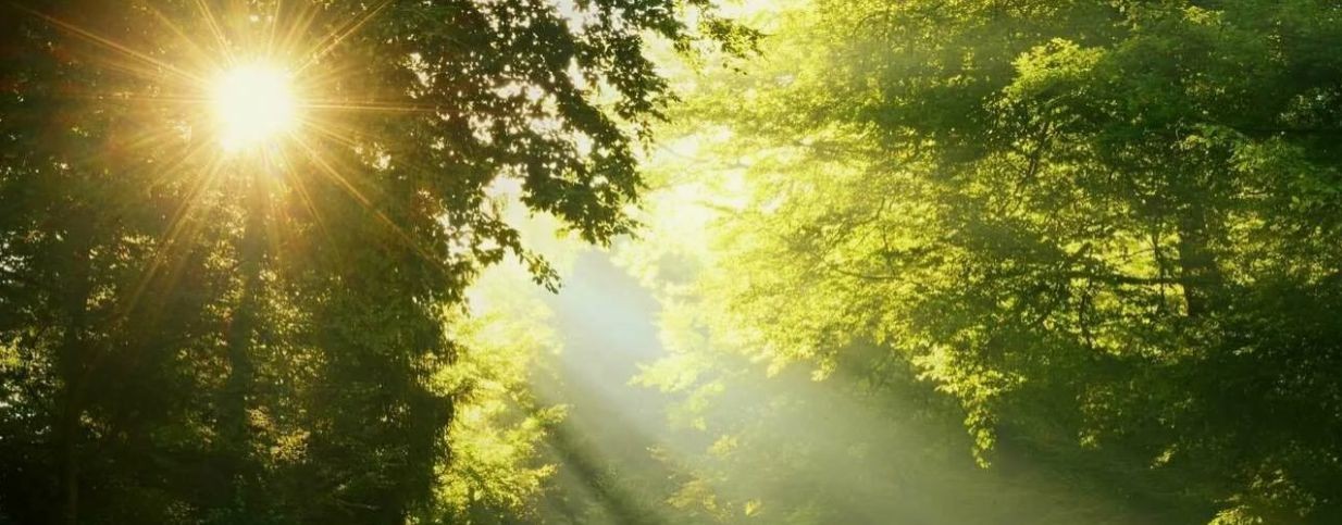 Психоаналитик Андрей Подымало. Ульяновск