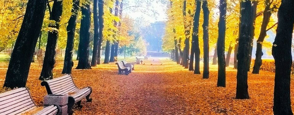 Лёшка Позитив