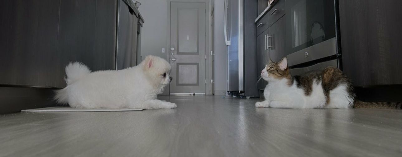 💋💋💋Игромания💋💋💋