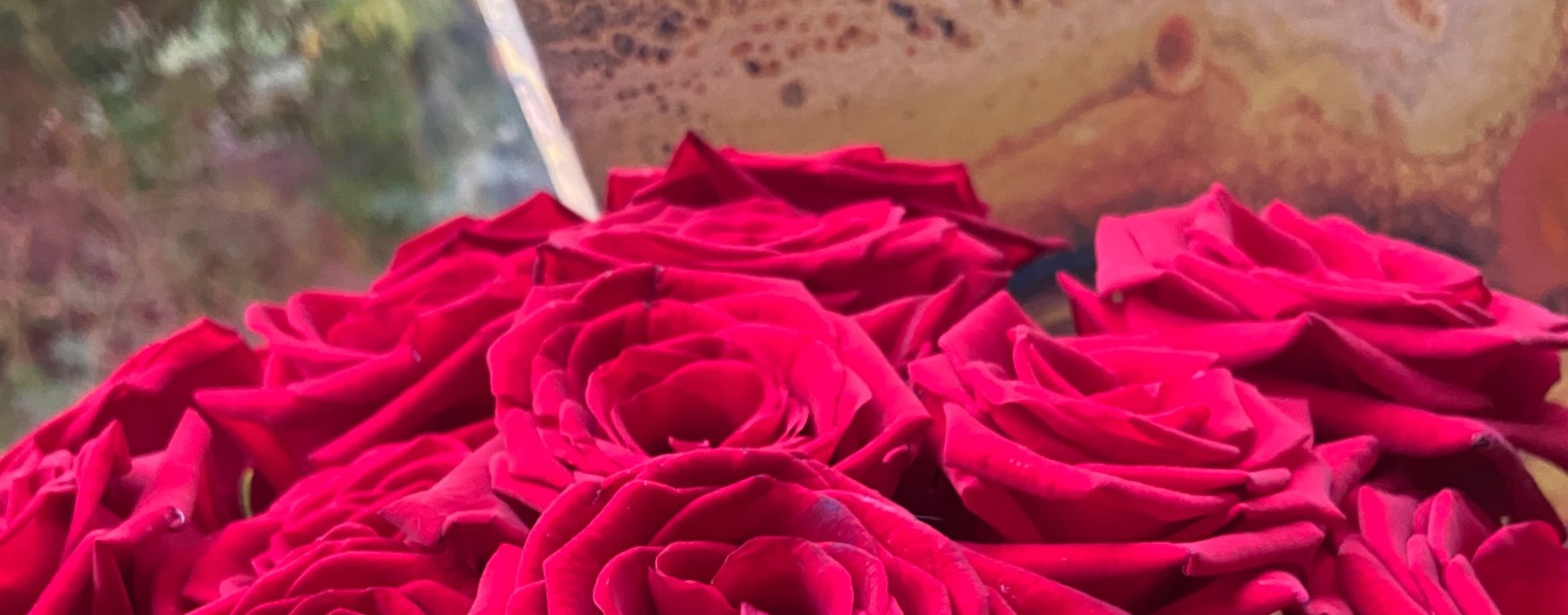 Моими глазами 🤍