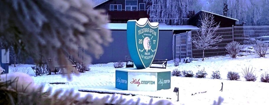 "Шайба" в Посаде