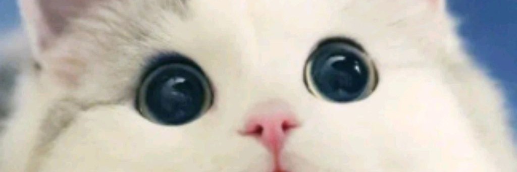 Соня плей😁