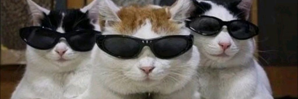 Топ видео и гиф