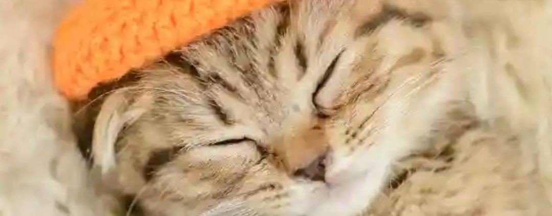 Титан Тень мен