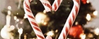 ♡ЯрОлАпКа КВ♡