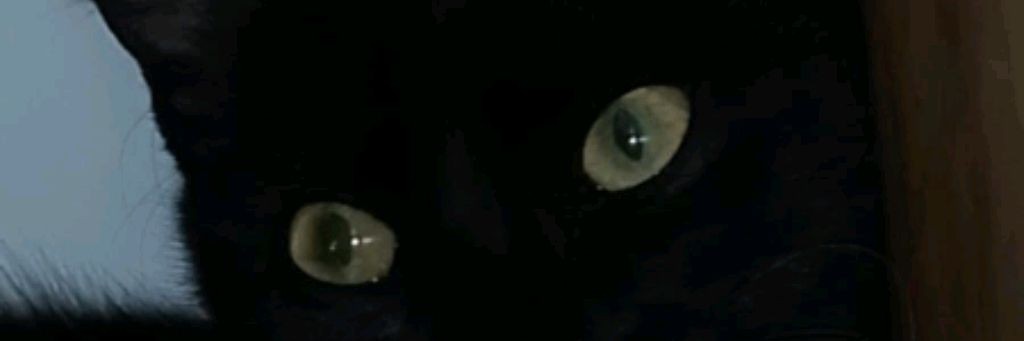 ♠♥Я Не Ангел♥♠