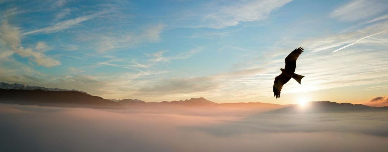 Путь Души ॥ Психология ॥ Йога ॥ Путешествия