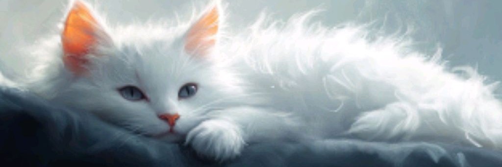 White Cat