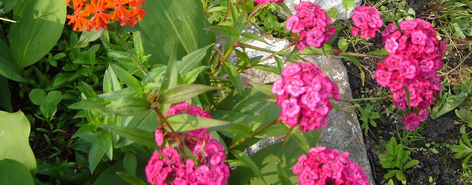 Света Королева(Алла Лукина)