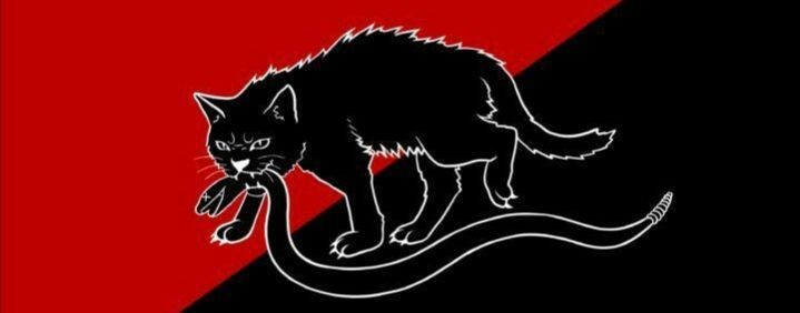 𝐆𝐨𝐥𝐝𝐞𝐧 𝐅𝐫𝐞𝐝𝐝𝐲 (𝐤𝐞𝐬𝐬𝐞𝐝𝐲)