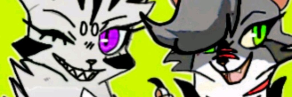 Коты воители