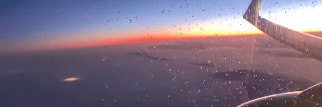 Семья Алексеевых LIFe