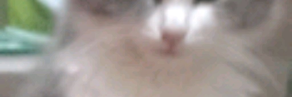 Иван Гаджиев