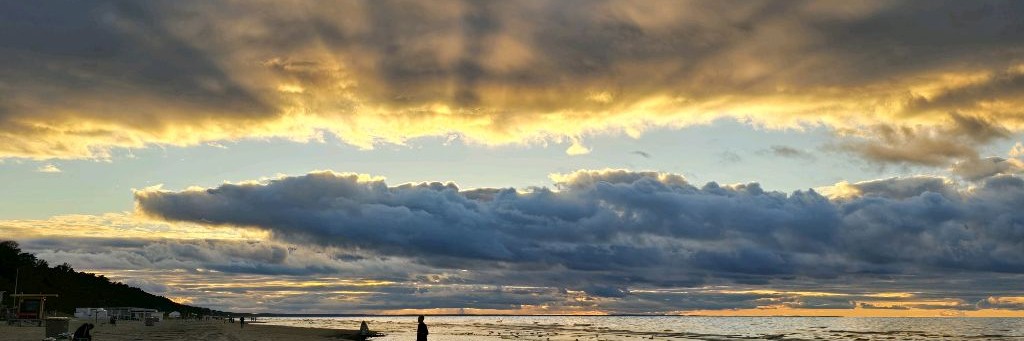 Ольга Роменскaя   Пророческое служение