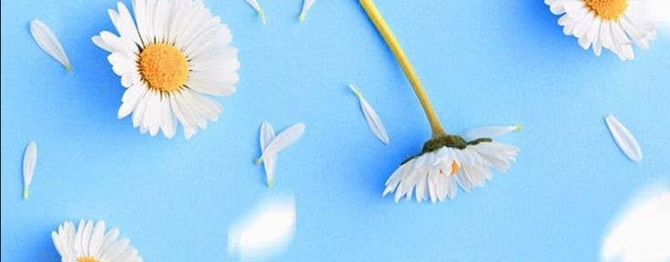 👑🫶🏾ZOEY CHANNEL 🫶🏾👑