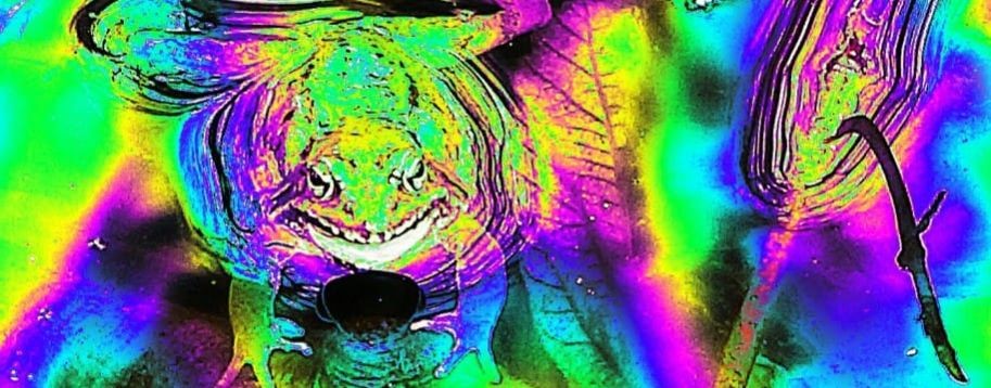 Прогулки налегке