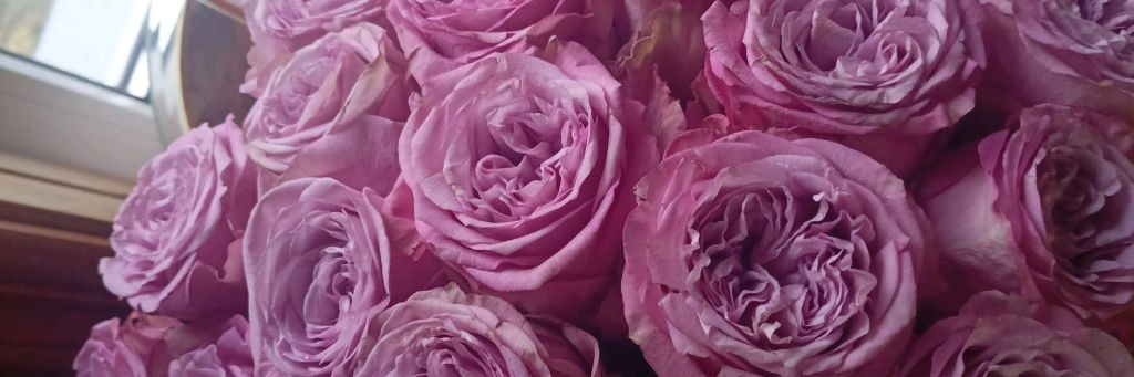 Жизнь Реборна♥️😘