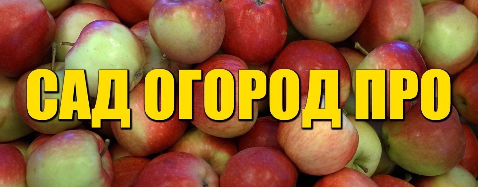 САД ОГОРОД ПРО