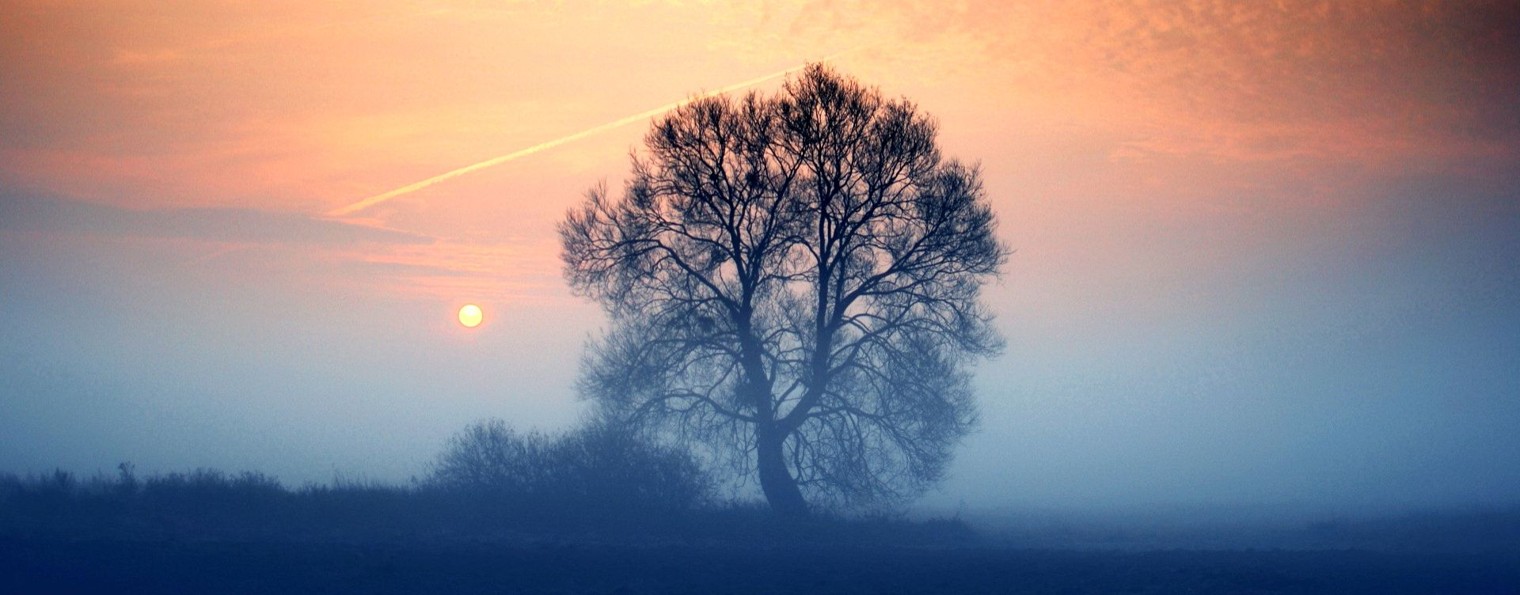 Михаил Саямов  [Музыка и Поэзия]