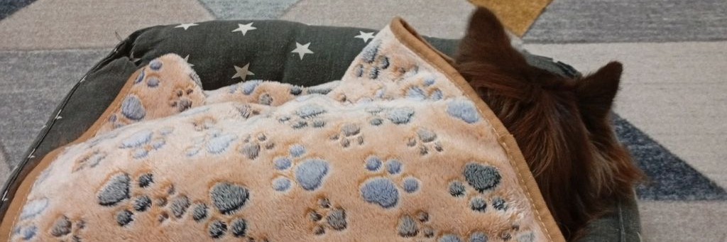 Жизнь Барни И Меня