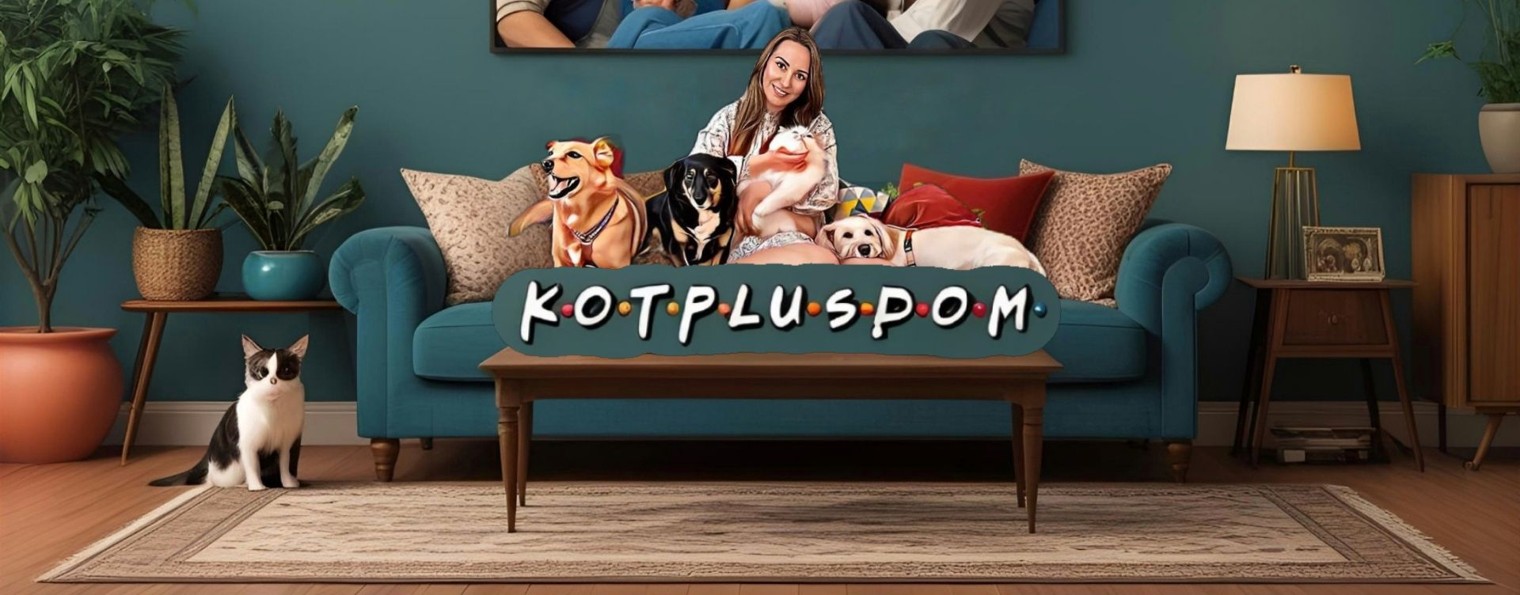 КотПлюсДом