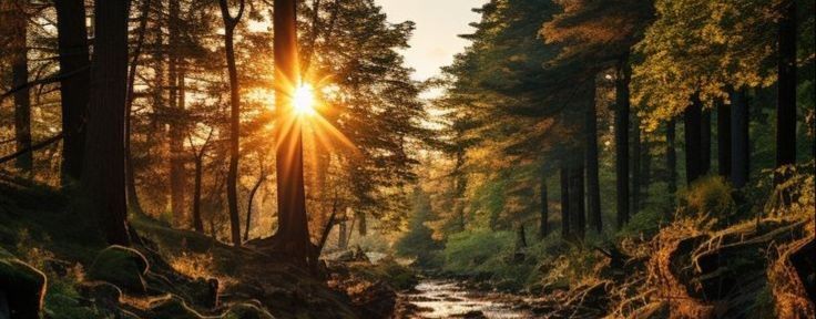 Цитаты и мотивация