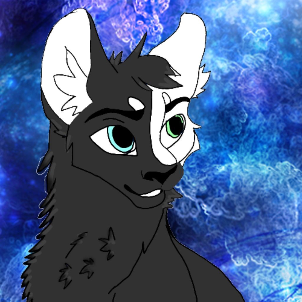 {~Black moon night WCUE~}