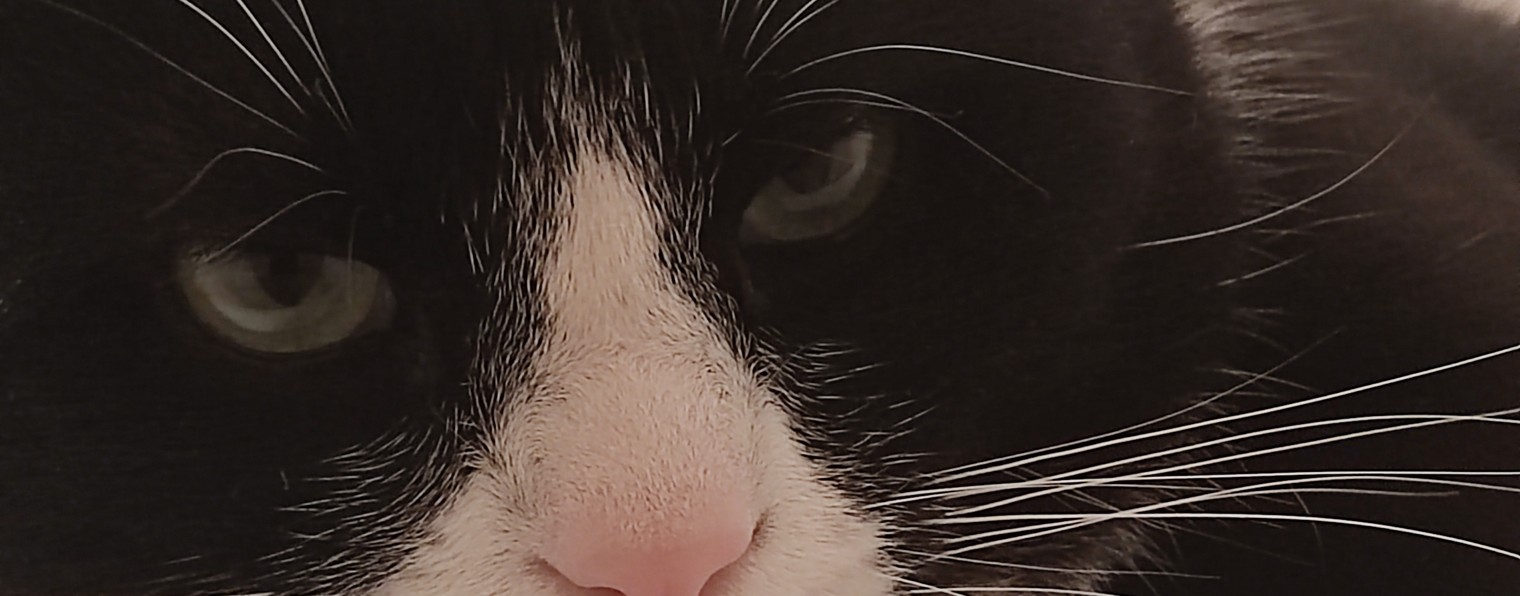 Не сидим без дела